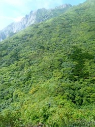 ケルンを目指す.jpg