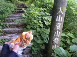 ホットドッグ.jpg