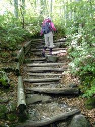 入山.jpg