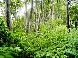 宝珠山.jpg