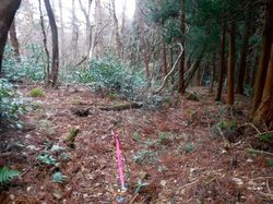 山道.jpg