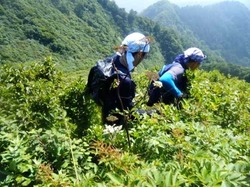 振子沢へ下りる.jpg