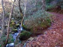 本谷登山道1 - 1.jpeg