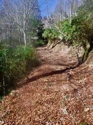 本谷登山道2 - 1 (1).jpeg