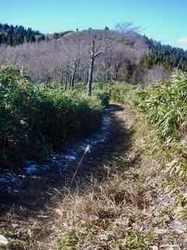 本谷登山道4 - 1.jpeg