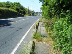 歩道が狭い.jpg
