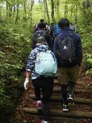 混み合う登山道 - 1.jpeg