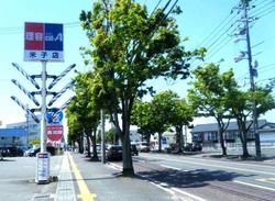 皆生道路.jpg