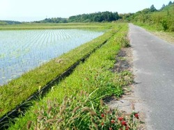 農道.jpg