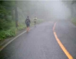 霧が深まる - 1.jpeg