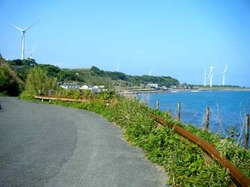風車と日本海.jpg